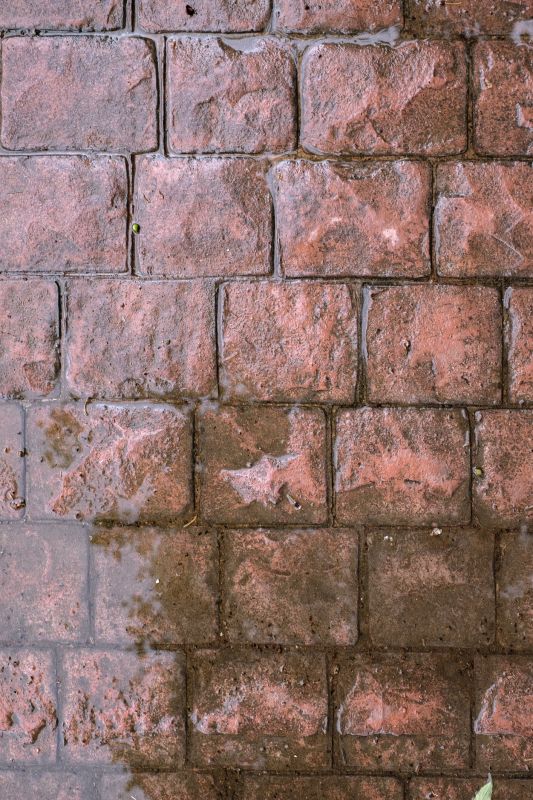 Decorative Concrete Repair in Clermont, FL