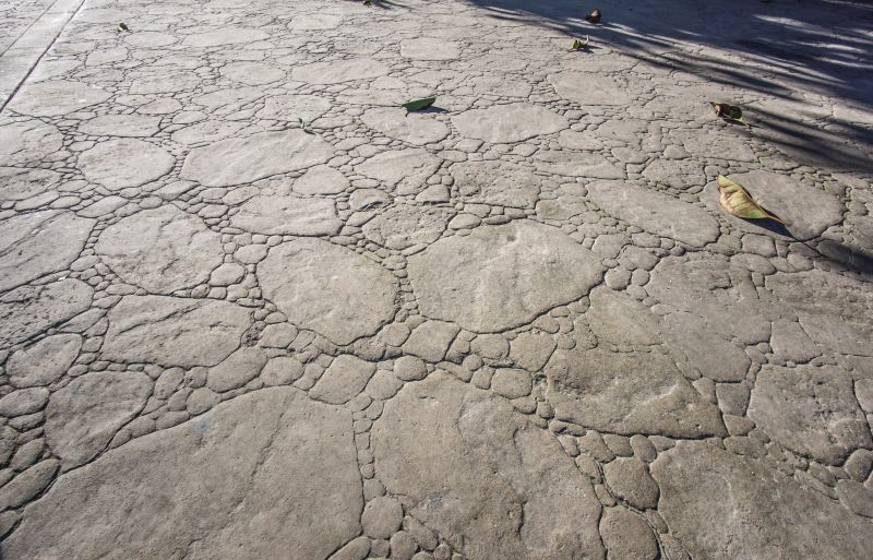 Stamped Concrete Construction in Corpus Christi, TX